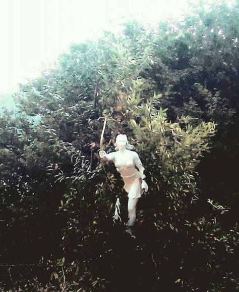 20106353_1879671155688084_5250469899797802330_n