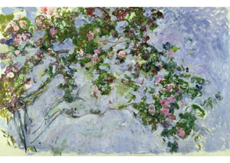 monet le rose