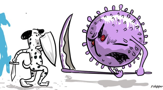 OSVY FIGHT COVID-19-#22-LA CULTURA E IL MESSAGGIO DI ALBERTO ANGELA (OSVY n. 326)