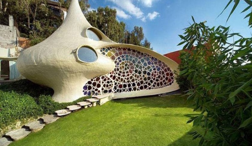 Fig. 8 Janvier Senosiaiain Nautilus House